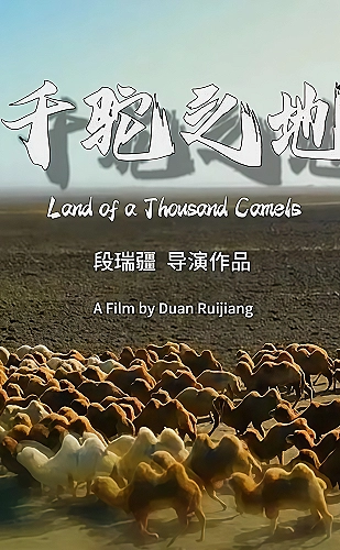 长风渡剧集画面